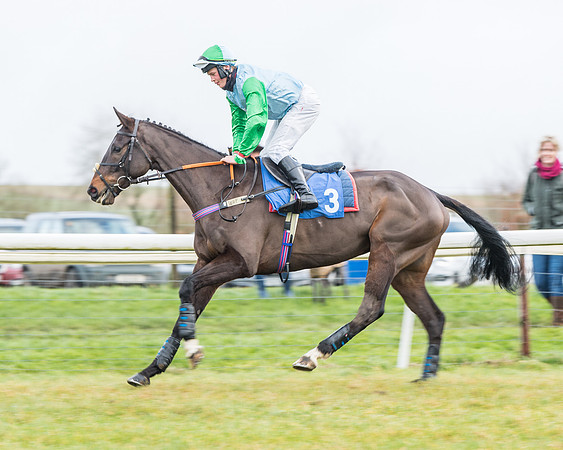 Race 3-  ITM Four and Five Year Olds open Maiden.- (4 of 134)