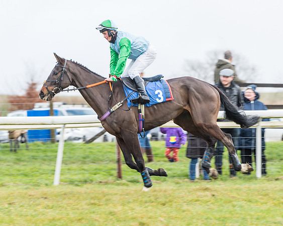 Race 3-  ITM Four and Five Year Olds open Maiden.- (3 of 134)