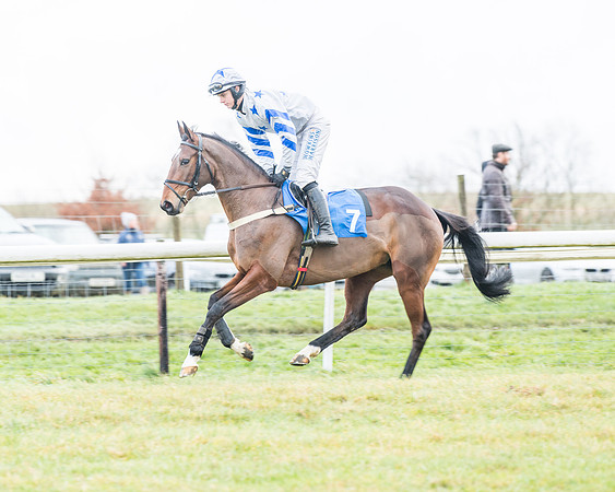 Race 4 - Jockey Club Maiden for Mares and Fillies.- (17 of 116)