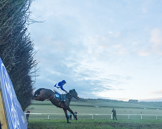 Race 9 - the Magee Equine for Pre training Breaking and water treadmill Six year olds and over Open Maiden Race  (183 of 256)