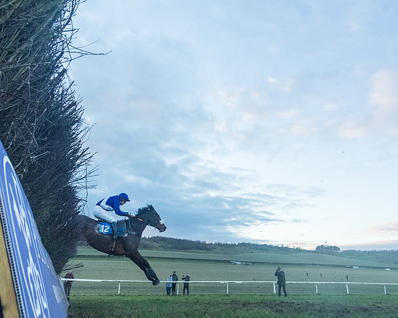 Race 9 - the Magee Equine for Pre training Breaking and water treadmill Six year olds and over Open Maiden Race  (182 of 256)