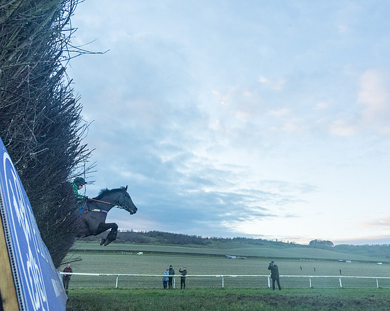 Race 9 - the Magee Equine for Pre training Breaking and water treadmill Six year olds and over Open Maiden Race  (170 of 256)