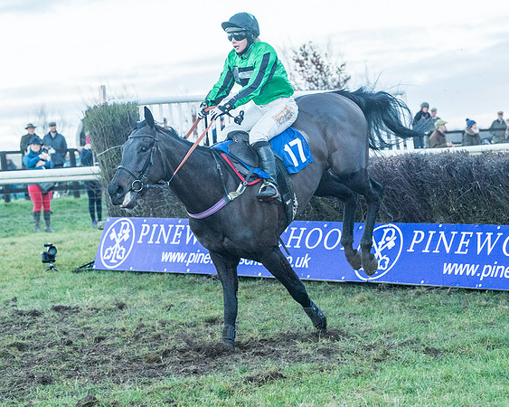Race 9 - the Magee Equine for Pre training Breaking and water treadmill Six year olds and over Open Maiden Race  (162 of 256)