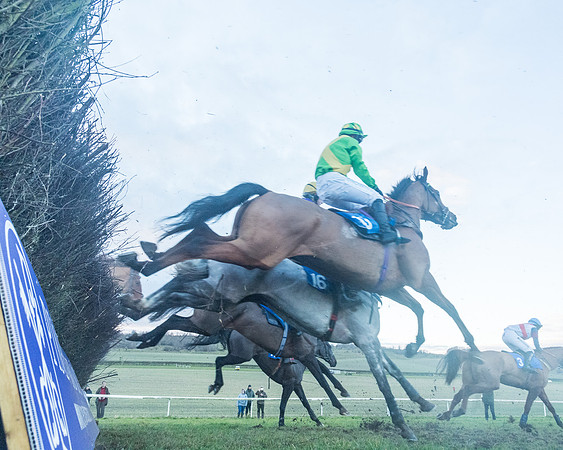Race 9 - the Magee Equine for Pre training Breaking and water treadmill Six year olds and over Open Maiden Race  (142 of 256)