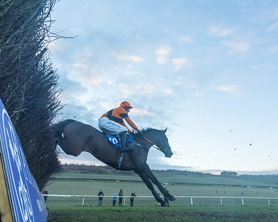 Race 9 - the Magee Equine for Pre training Breaking and water treadmill Six year olds and over Open Maiden Race  (93 of 256)