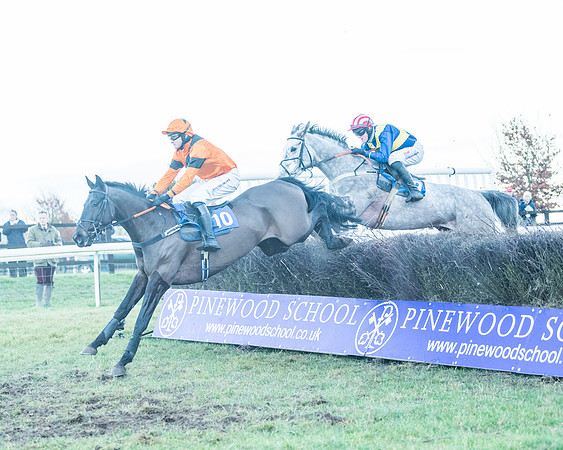 Race 9 - the Magee Equine for Pre training Breaking and water treadmill Six year olds and over Open Maiden Race  (82 of 256)