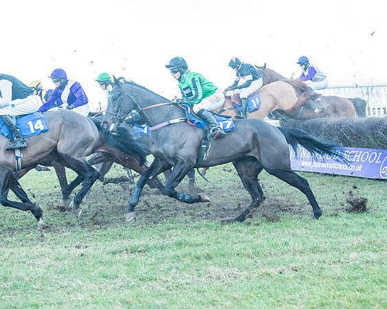 Race 9 - the Magee Equine for Pre training Breaking and water treadmill Six year olds and over Open Maiden Race  (76 of 256)