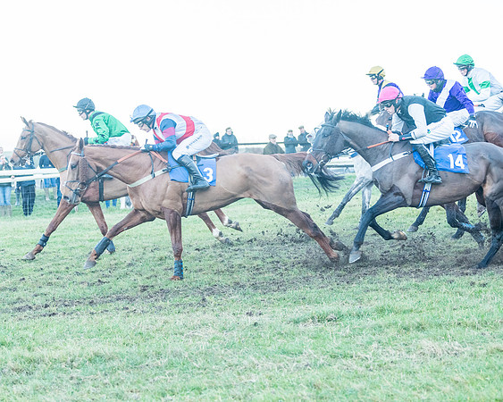 Race 9 - the Magee Equine for Pre training Breaking and water treadmill Six year olds and over Open Maiden Race  (75 of 256)