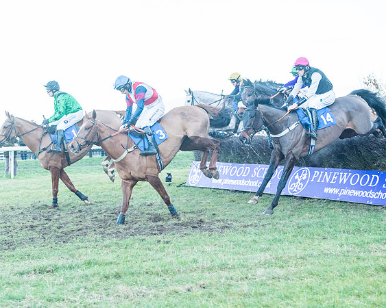 Race 9 - the Magee Equine for Pre training Breaking and water treadmill Six year olds and over Open Maiden Race  (71 of 256)
