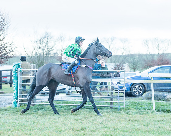 Race 9 - the Magee Equine for Pre training Breaking and water treadmill Six year olds and over Open Maiden Race  (48 of 256)