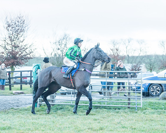 Race 9 - the Magee Equine for Pre training Breaking and water treadmill Six year olds and over Open Maiden Race  (47 of 256)