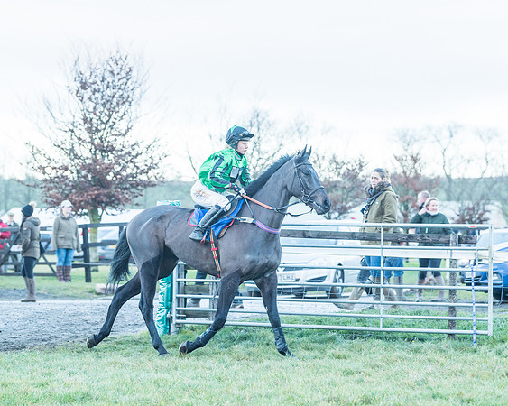 Race 9 - the Magee Equine for Pre training Breaking and water treadmill Six year olds and over Open Maiden Race  (45 of 256)