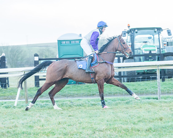 Race 9 - the Magee Equine for Pre training Breaking and water treadmill Six year olds and over Open Maiden Race  (39 of 256)