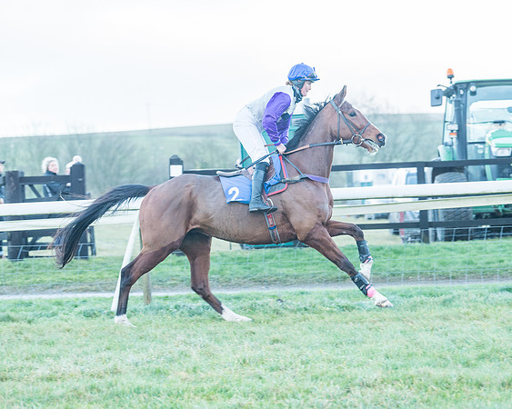 Race 9 - the Magee Equine for Pre training Breaking and water treadmill Six year olds and over Open Maiden Race  (38 of 256)