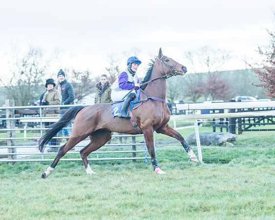 Race 9 - the Magee Equine for Pre training Breaking and water treadmill Six year olds and over Open Maiden Race  (34 of 256)