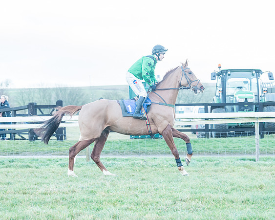 Race 9 - the Magee Equine for Pre training Breaking and water treadmill Six year olds and over Open Maiden Race  (31 of 256)