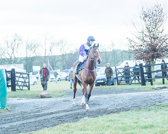 Race 9 - the Magee Equine for Pre training Breaking and water treadmill Six year olds and over Open Maiden Race  (33 of 256)