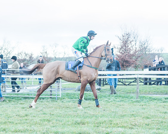 Race 9 - the Magee Equine for Pre training Breaking and water treadmill Six year olds and over Open Maiden Race  (28 of 256)