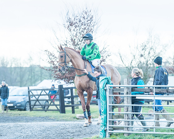 Race 9 - the Magee Equine for Pre training Breaking and water treadmill Six year olds and over Open Maiden Race  (26 of 256)