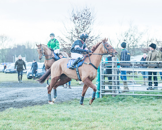Race 9 - the Magee Equine for Pre training Breaking and water treadmill Six year olds and over Open Maiden Race  (23 of 256)