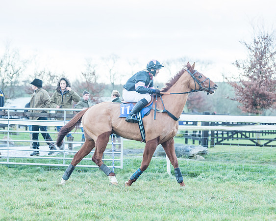 Race 9 - the Magee Equine for Pre training Breaking and water treadmill Six year olds and over Open Maiden Race  (24 of 256)