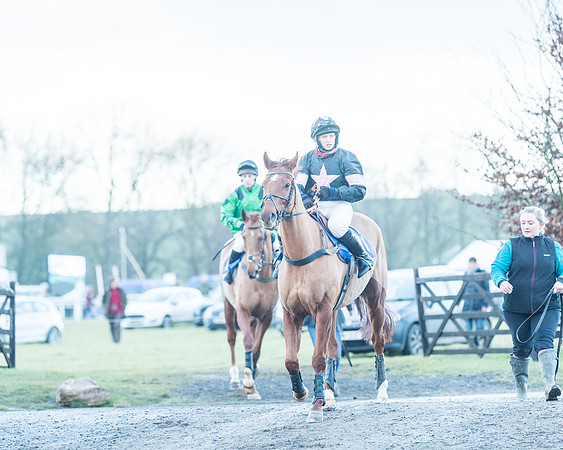 Race 9 - the Magee Equine for Pre training Breaking and water treadmill Six year olds and over Open Maiden Race  (21 of 256)