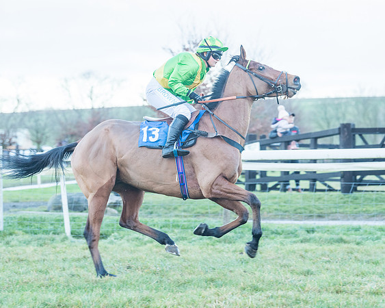Race 9 - the Magee Equine for Pre training Breaking and water treadmill Six year olds and over Open Maiden Race  (18 of 256)