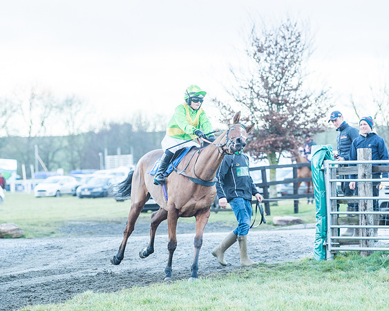 Race 9 - the Magee Equine for Pre training Breaking and water treadmill Six year olds and over Open Maiden Race  (16 of 256)