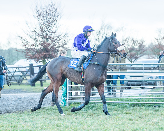Race 9 - the Magee Equine for Pre training Breaking and water treadmill Six year olds and over Open Maiden Race  (15 of 256)