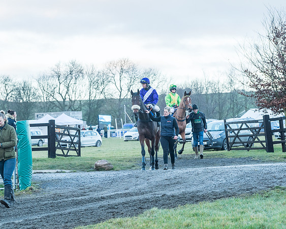 Race 9 - the Magee Equine for Pre training Breaking and water treadmill Six year olds and over Open Maiden Race  (12 of 256)