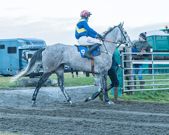 Race 9 - the Magee Equine for Pre training Breaking and water treadmill Six year olds and over Open Maiden Race  (6 of 256)