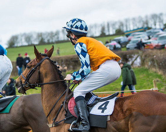 Pony Race 3 (2 of 67)