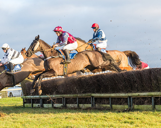 Race 8 - PPORA conditions for Novice Riders (173 of 378)