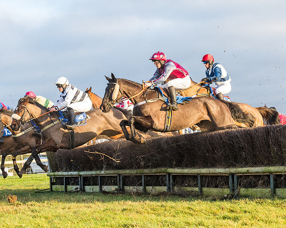 Race 8 - PPORA conditions for Novice Riders (172 of 378)