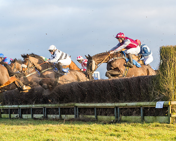 Race 8 - PPORA conditions for Novice Riders (171 of 378)
