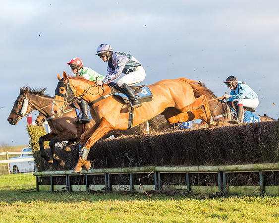 Race 8 - PPORA conditions for Novice Riders (167 of 378)