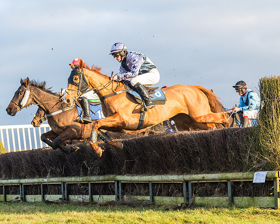 Race 8 - PPORA conditions for Novice Riders (166 of 378)