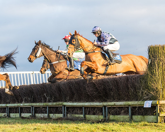 Race 8 - PPORA conditions for Novice Riders (165 of 378)