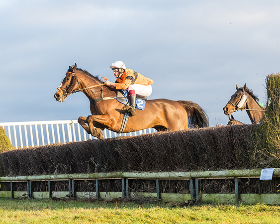 Race 8 - PPORA conditions for Novice Riders (163 of 378)