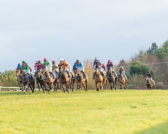 Race 8 - PPORA conditions for Novice Riders (160 of 378)