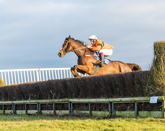 Race 8 - PPORA conditions for Novice Riders (162 of 378)