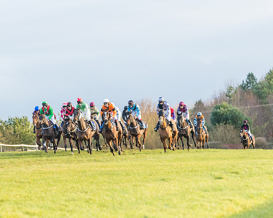 Race 8 - PPORA conditions for Novice Riders (159 of 378)