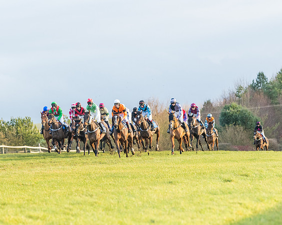 Race 8 - PPORA conditions for Novice Riders (158 of 378)