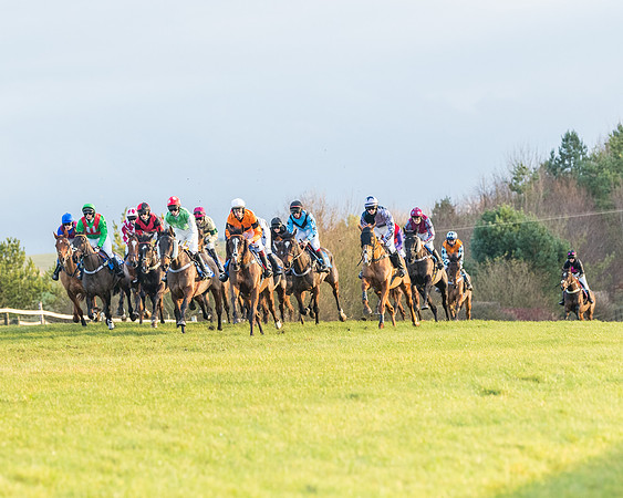 Race 8 - PPORA conditions for Novice Riders (157 of 378)