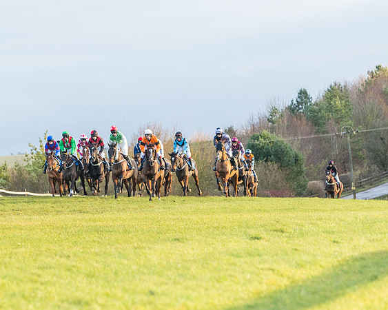 Race 8 - PPORA conditions for Novice Riders (156 of 378)