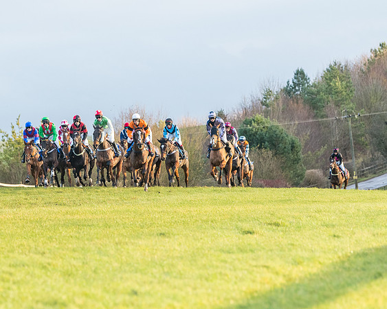 Race 8 - PPORA conditions for Novice Riders (155 of 378)