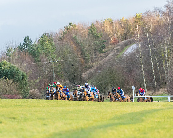 Race 8 - PPORA conditions for Novice Riders (145 of 378)