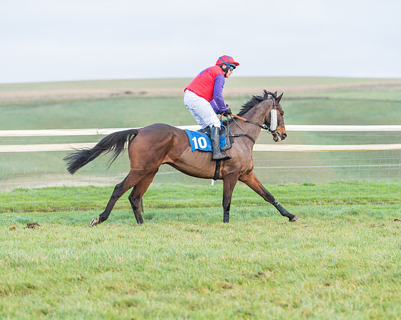 Race 8 - PPORA conditions for Novice Riders (144 of 378)