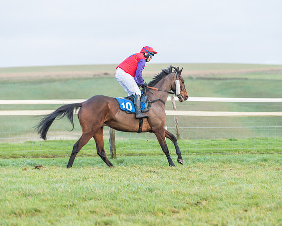 Race 8 - PPORA conditions for Novice Riders (143 of 378)