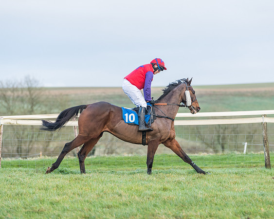 Race 8 - PPORA conditions for Novice Riders (142 of 378)